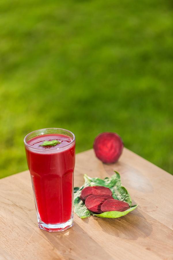 The Lifeco Antalya Well-Being Detox Center And Vegan Hotel Екстер'єр фото