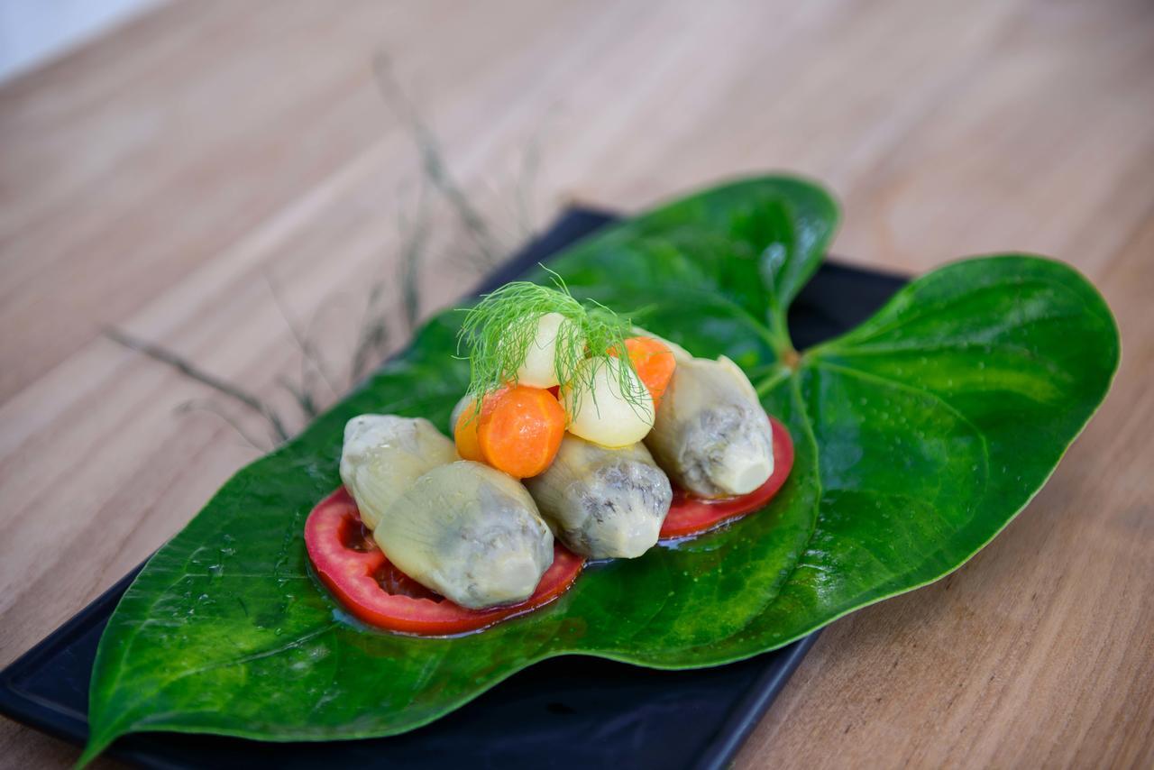 The Lifeco Antalya Well-Being Detox Center And Vegan Hotel Екстер'єр фото