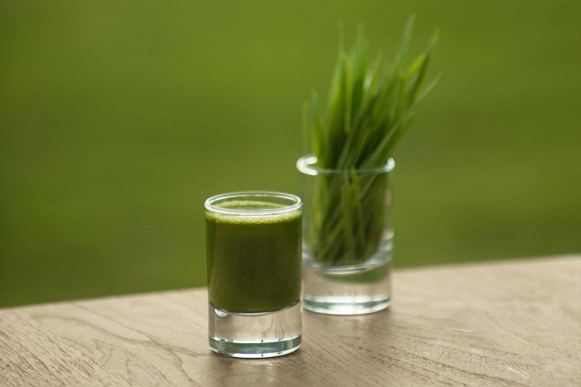 The Lifeco Antalya Well-Being Detox Center And Vegan Hotel Екстер'єр фото